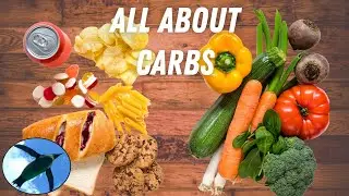 Sweet Spot:  Carbohydrates