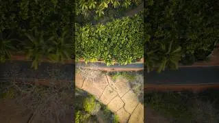 My best investment🙌😍... #music #drone #travel #karnataka #escape #shorts #short