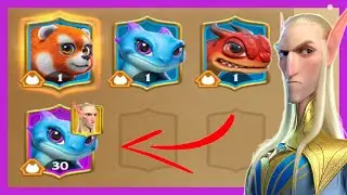 How To Level Your War Pet Call Of Dragons