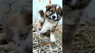 Растут не по дням , а по часам 