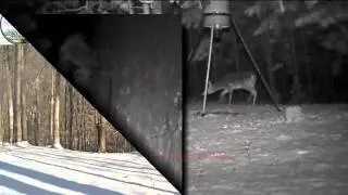 Alabama's Winter Storms