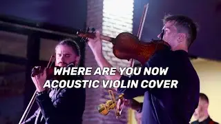 Where are you now – acoustic violin cover live (Divo Duo)