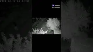 белые штаны