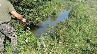 окунь у потічку!