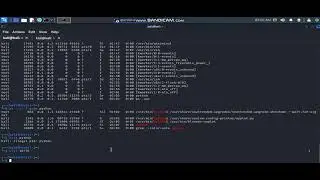 Terminate Or Kill Process in Linux OS