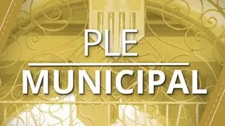 Ple de Sitges 05-02-2025