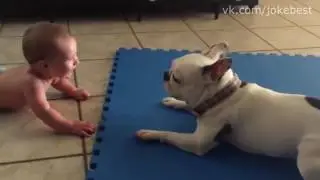 ПРИКОЛЫ и неудачи Декабрь 2016 FAIL Compilation December 2016