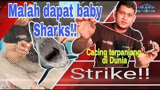 Mancing pake Umpan Cacing Raksasa❗❗ malah dapat Baby Hiu❓