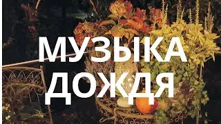 Музыка дождя для исцеления души