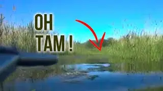 Spearfishing in Spring: Finding Fish Trails