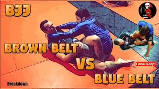 Brown belt vs blue belt - BJJ