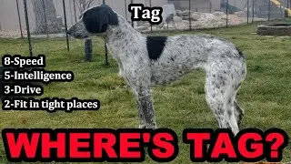 Where is Tag? Mink Man Explains