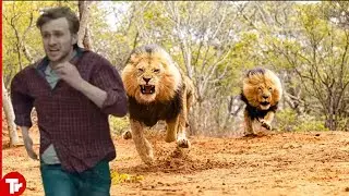 What Happened Next Will Shock you! Safari Trips Gone Horribly Wrong