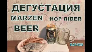 ПИВО HOP RIDER MARZEN ДЕГУСТАЦИЯ