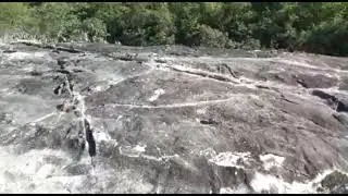 Preparando Ceva pra Cotia. Esta vai da Boa .