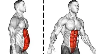 Say goodbye to a six-pack if you don't do these exercises.