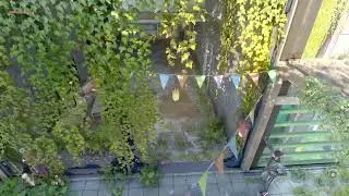 Dying Light 2 Stay Human PS5 Live 5