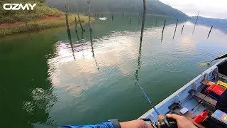 LUBUK TOMAN BERJANGGUT