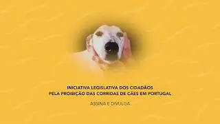 Corridas de Cães - Terror