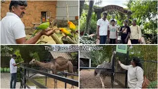 This Place Stole My Heart /A Peaceful Retreat in the Hills #yercaud #food #vlog #travel #birds #pets