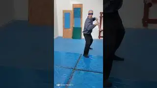 Formas con Bo a ciegas.  #ninjatraining #martialarts #bujinkan