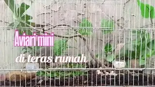 mini aviari
