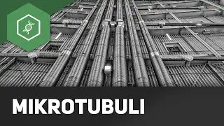 Mikrotubuli