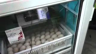 00014