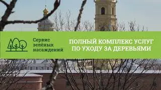 Обрезка тополей в Ленинградском зоопарке