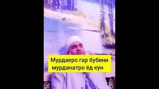 Мурдаро диди? Мавлави бохтари 2021