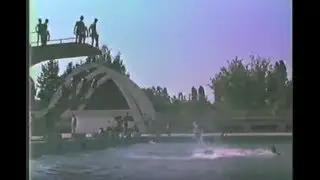 Bazenot vo Saraj 1985