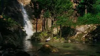 Waterfall & Creek Environment