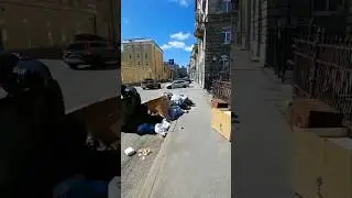 Помойка в центре Петербурга под окнами дорогих квартир #недвижимость #квартира