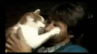 CAT ATTACKS BEARD-PART 2 funny