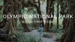 OLYMPIC NATIONAL PARK road trip | May 2023 | Ambient nature sound relaxing travel video
