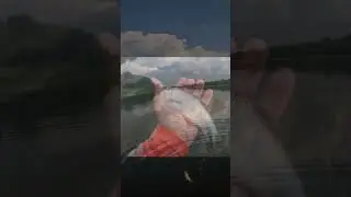 Рыбалка 2022 ! Крупная Плотва ! Мормышинг ! Ловля ! Лето 2022 ! 