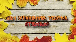 3в1 хранение прокладок на 5💧 / небольшая уборка в хранении / отзывы на некоторые новинки