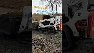 Trying to beat the rain #shortsvideo #pond #rock #bobcat