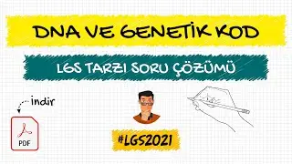 DNA ve Genetik Kod / LGS Tarzı Yeni Nesil Soru Çözümü + PDF