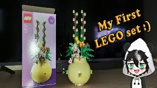 Building my very first LEGO set at age 31.