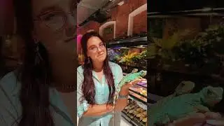 Как вы поняли, что это «ваша» рептилия/амфибия и т.д? 