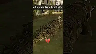 l control the rod crocodile🐊🥶!!! 