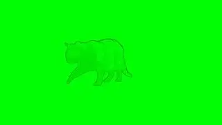 Ghost Cat - Free Horror Green Effect