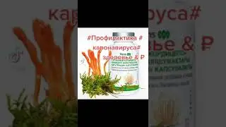 Профилактика, иммунитет, восстановление здоровья