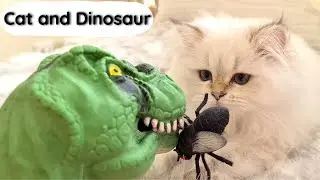 Cute kitten and Dinosaur | Cat and Dinosaur