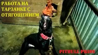 РАБОТА НА ТАРЗАНКЕ С ОТЯГОЩЕНИЕМ I PRIDE