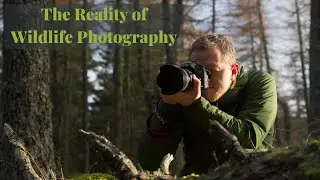 What it's like to be a Wildlife Photographer | Unbelievable Moment to Photograph | ISO Days