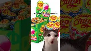 #кот