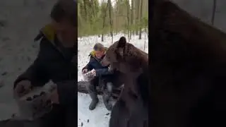 милый мишка кушает вишню🍒 🍒 🍒,это так мило🤭☺️🤩😍🥰