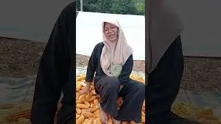 kapan selesai pekerjaan kalau nelfon truss